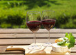 Photo: Various sorts of cheese and two glasses of the natural homemade Various sorts of cheese and two glasses of the natural homemade
