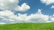 green meadow, blue sky with moving clouds