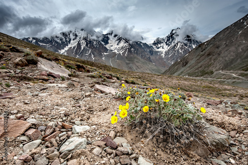 Photo: himalayas himalayas
