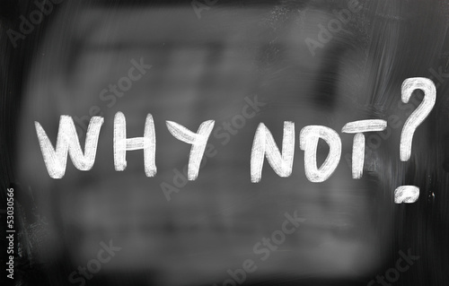 Photo: why not? why not?