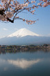 河口湖の桜と富士山
