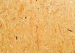 Fragment of a plate from the pressed waste of wood