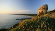 Torre Paola