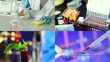 Video: work in the microbiology laboratory work in the microbiology laboratory