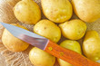 raw potato