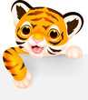 Cute tiger with blank sign