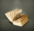 Open book icon