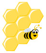 Funny Cartoon Bee and Honeycombs