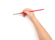 paintbrush in child hand
