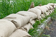 Hochwasser