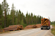 Timber