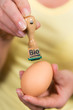 bio stempel