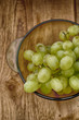 fresh vine
