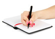 Hand signing in notebook, isolated on white