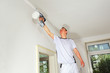 professional painter at work