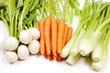 Turnip, carrot and celery from garden