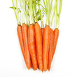 Photo: Carrot vegetable Carrot vegetable