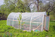 primitive plastic greenhouse in farm garden