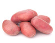 Foto: New potato tuber heap New potato tuber heap