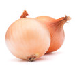 Gold onion vegetable bulbs