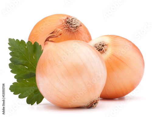 Photo: Onion vegetable bulb and parsley leaves still life Onion vegetable bulb and parsley leaves still life