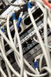 Network Cables Connected to Server