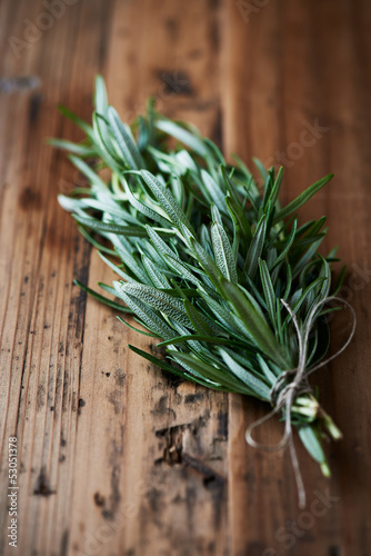 Photo: Rosemary Rosemary