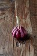 Photo: Garlic Garlic