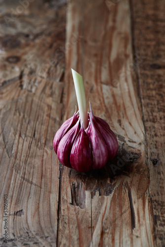 Photo: Garlic Garlic