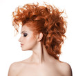 Beauty Portrait. Hairstyle