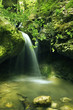 Milky cascade