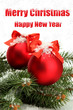 Christmas balls on fir tree with snow