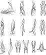 Pinstripe Design 