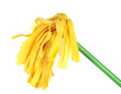 Yellow mop for floor isolated on white