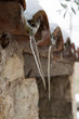 Stalactite