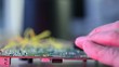 Soldering  microcontroller