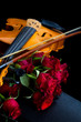 Violin on carry case