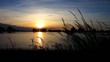 canvas print picture - sunset and flood