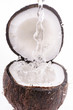 noce di cocco splash