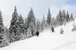 Skiers
