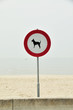Hund am Strand ist nicht gut