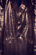 retro sparkly jacket