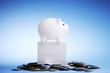 Lucky piggy bank