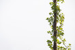 Foto: Natural border Natural border