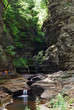 stream in woods with rocks