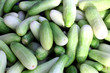 cucumber