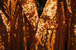 Foto: golden sequin jacket golden sequin jacket