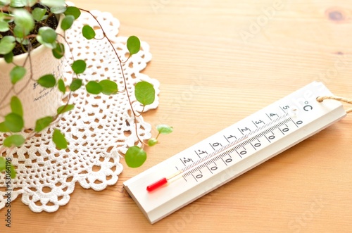Photo: 温度計と観葉植物 温度計と観葉植物