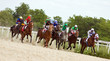 Horse racing at the hippodrome in Pyatigorsk.