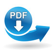 pdf téléchargement sur bouton web bleu